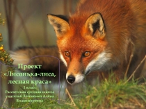 Презентация к литературному проекту Лисонька-лиса, лесная краса