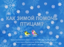 как помочь птицам зимой.