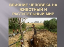 Влияние человека на растительный и животный мир