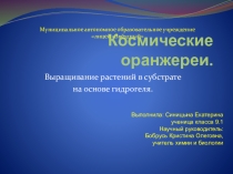 Презентация по космобиологии и химии Космические оранжереи