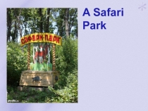 Презентация по английскому языку на тему A Safari Park (2 класс)