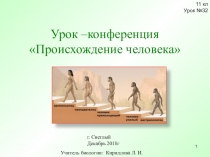 Презентация к уроку-конференции по биологии в 11 классе по теме Происхождение человека.