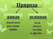 Презентация для классного часа в 3 классе Тема : Царство грибов