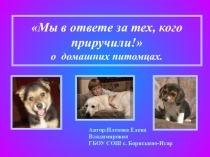 Мы за тех, кого приручили