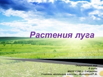 Презентация по окружающему миру Растения луга (4 класс)