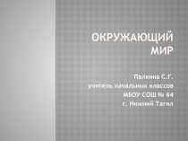 Презентация по окружающему миру на тему №Страницы истории 19 века (4 класс)