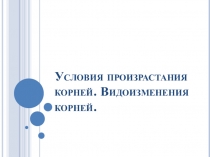 Презентация к уроку биологии Видоизменение корней (6 класс)