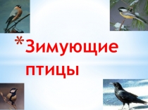 Презентация по окружающему миру Зимующие птицы