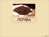 Презентация к уроку окружающего мира на тему Почва