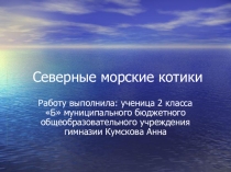 Презентация по окружающему миру на тему Северные морские котики (2 класс)