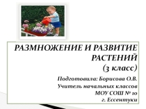 Размножение и развитие растений.