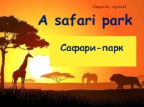 Презентация по английскому языку Сафари - парк