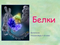 Презентация по химии на тему Белки