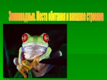 Презентация к уроку биология