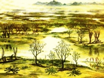 Презентация к уроку класс Паукообразные зоология 7кл приложение к уроку