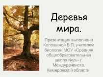 Презентация по биологии на тему Деревья мира