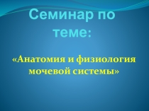 Презентация семинарского занятия по анатомии на тему Анатомия и физиология мочевой системы