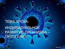Презентация по биологии на тему Онтогенез (10 класс)