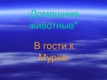 Домашние животные