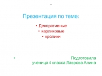Презентация по окружающему миру на тему Декоративные и карликовые кролики.