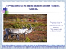 Презентация по окружающему миру на тему Путешествие по природным зонам России. Тундра