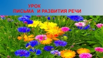 Презентация по русскому языку на тему: Лицо и число местоимений
