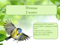 Презентация к уроку по окружающему миру на тему Птицы 2 класс