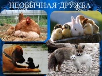 Классный час на тему Умей дружить, Как найти друга