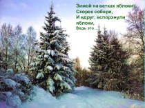 Презентация по экологии  Времена года