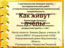 Презентация к исследовательской работе Как живут пчёлы?