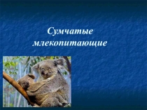 Презентации по биологии на тему Сумчатые млекопитающие