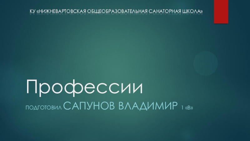 Презентация Творческая работа обучающегося по теме Профессии.