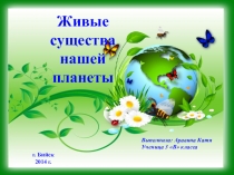 Презентация по окружающему миру Живые существа