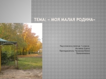 Презентация по окружающему миру