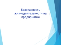 Презентация Безопасность жизнедеятельности на предприятиях и организациях