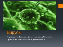 Презентация по биологии Вирусы