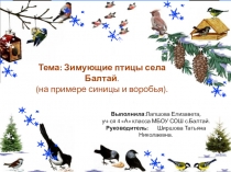 Презентация Зимующие птицы села Балтай