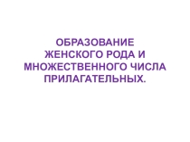 Презентация по французскому языкуженский род и множественное число существительных
