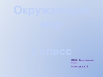 Урок Окружающий мир 3 класс УМК Школа России презентация Бенелюкс