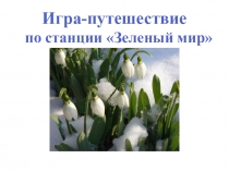 Презентация по окружающему миру на тему Зеленый мир
