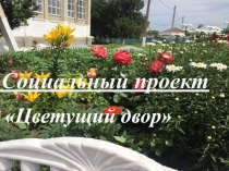 Презентация на проектную работу Цветущий двор
