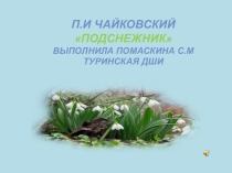 Презентация Подснежник П.И. Чайковский