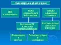 Презентация по информатике Программное обеспечение