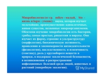 Презентация по дисциплине Микробиология