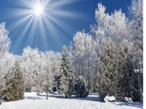 Прзентацыя па беларускай літаратуры Паўлюк Трус. Верш Падаюць сняжынкі (6клас)