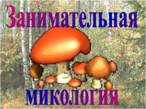 Презентация Занимательная микология к уроку биологии 7 класс