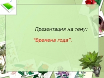 Презентация  Времена года