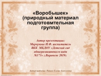 Конструирование из природного материала в подготовительной группе детского сада Воробышек и грибы .