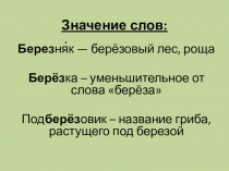 Презентация по русскому языку Однокоренные слова 3 класс