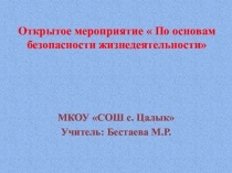 Открытое мероприятие  По основам безопасности жизнедеятельности